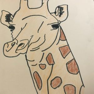 Meet your Posher, Leo